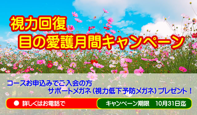 近視・遠視・弱視・乱視・老眼の視力回復 | 子供から大人まで驚異の回復